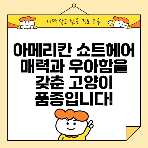 아메리칸 쇼트헤어 매력과 우아함을 갖춘 고양이 품종입니다!