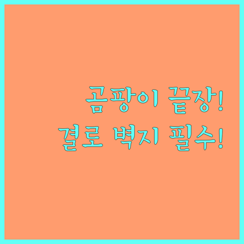 곰팡이 제거 후 도배 전에 필독 완벽..