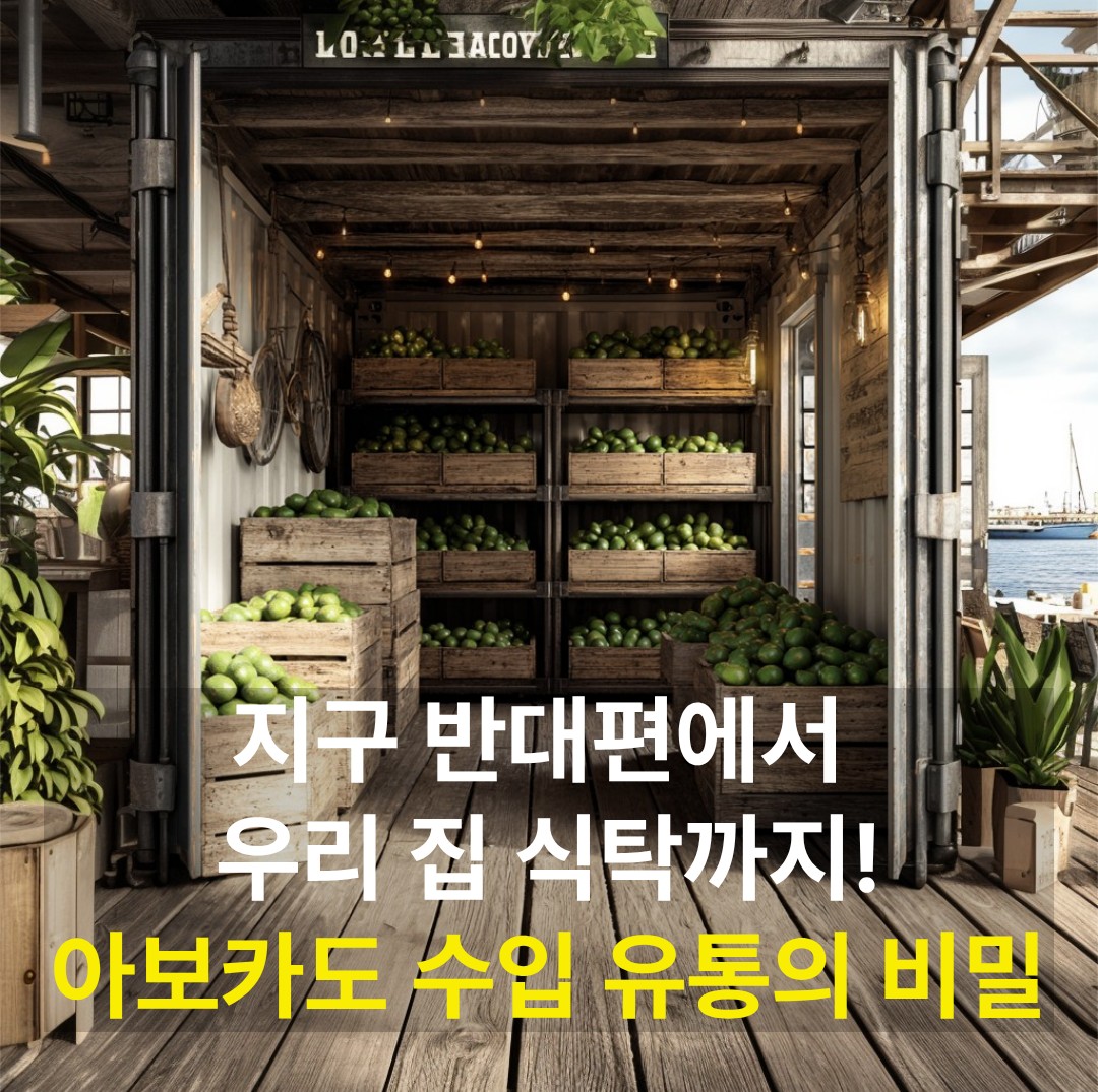 항구의 목재 부두 위에 열려 있는 창고 안에 차곡차곡 쌓여 있는 신선한 아보카도