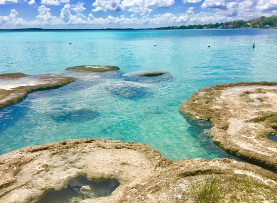 멕시코 바칼라르