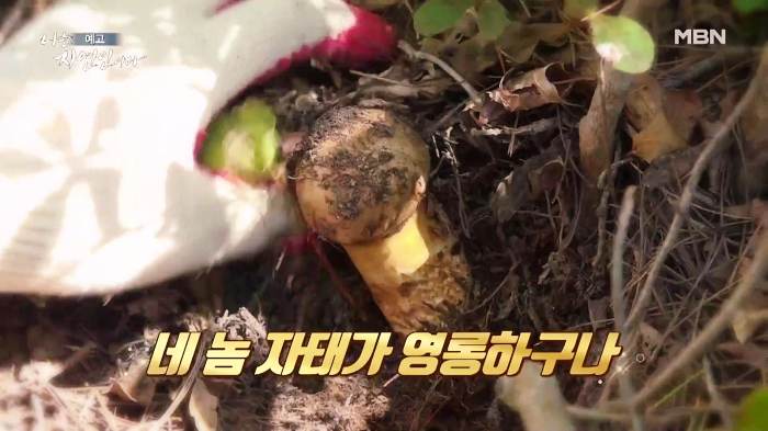 나는-자연인이다-윤택