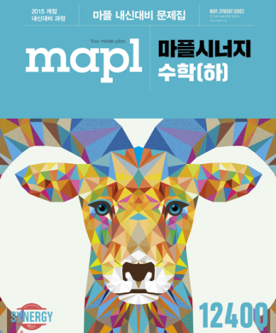 마플시너지-수학-하-답지-PDF