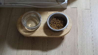 노령묘 식욕 관찰법, 잘 먹는 고양이도 식사량과 체중을 확인해야 하는 이유