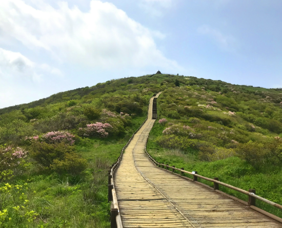 노고단