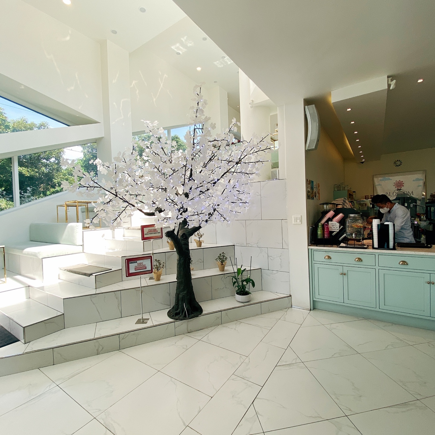 제주 서귀포 블라썸 꽃이피다 카페 인생샷 맛집