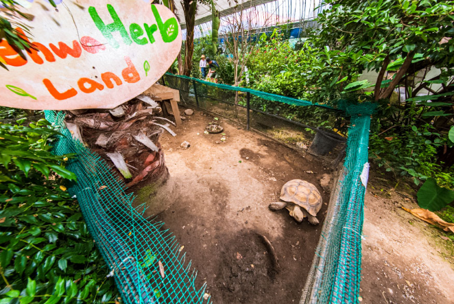 보령 개화예술공원 관광명소