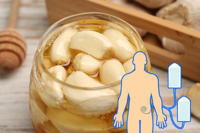신장투석 신장에 좋은 저칼륨 채소 마늘