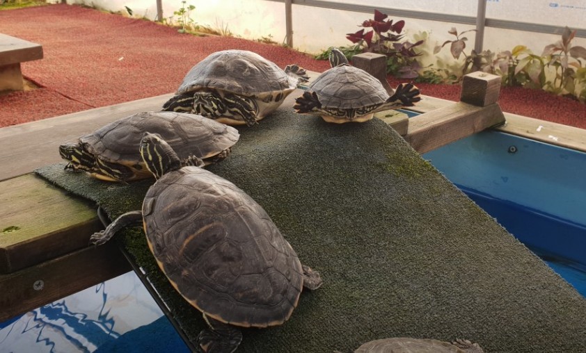 주말 아이랑 가기 좋은 곳 추천 - 부천 나눔농장