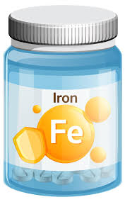 철분은 혈액 속 산소를 운반한다.