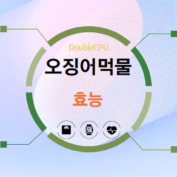 오징어먹물 효능 탐구