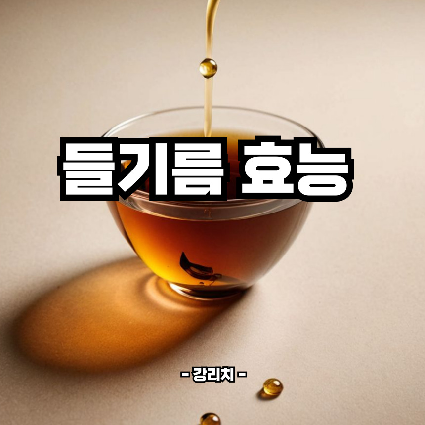 들기름 효능