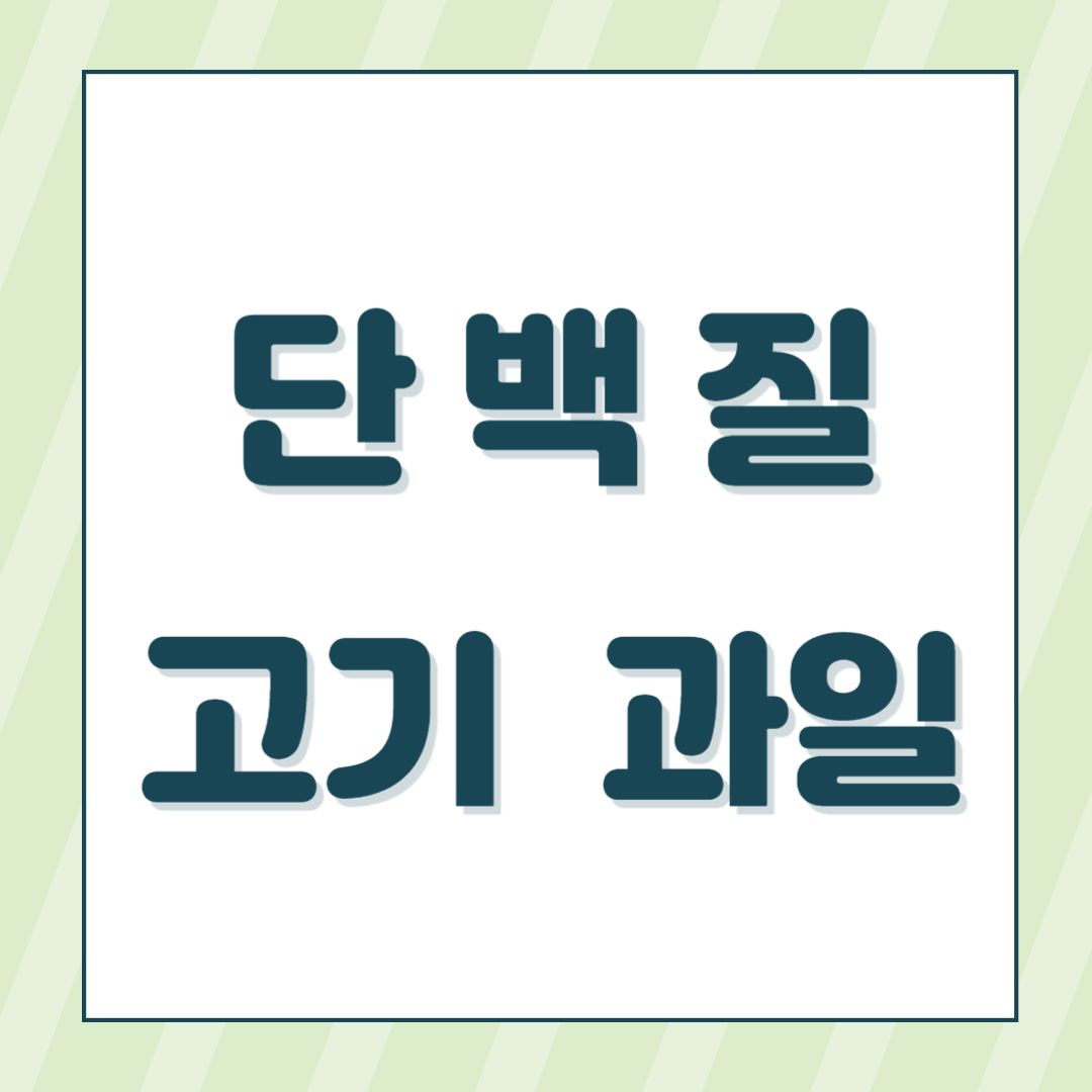 단백질 많은 음식