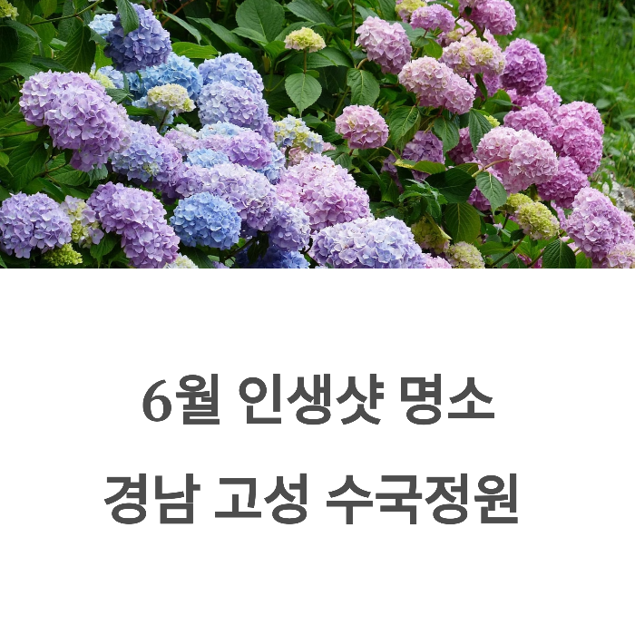 수국명소 경남 고성 수국정원