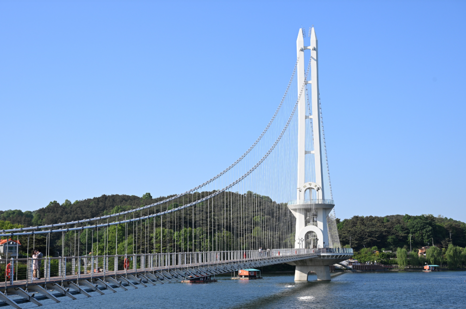 예당호 출렁다리1