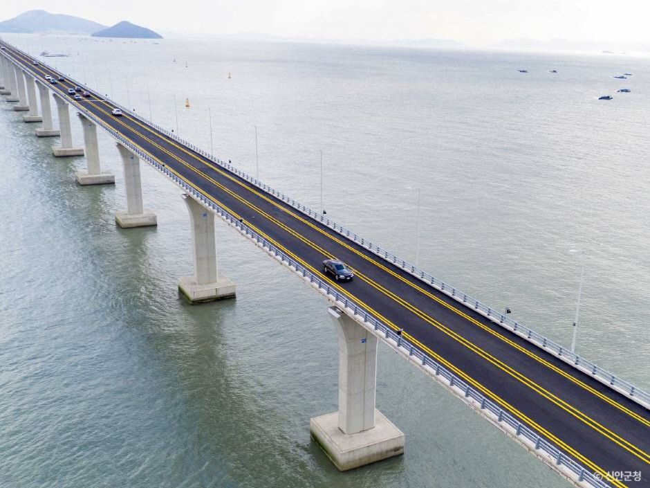 신안 천사대교 야경