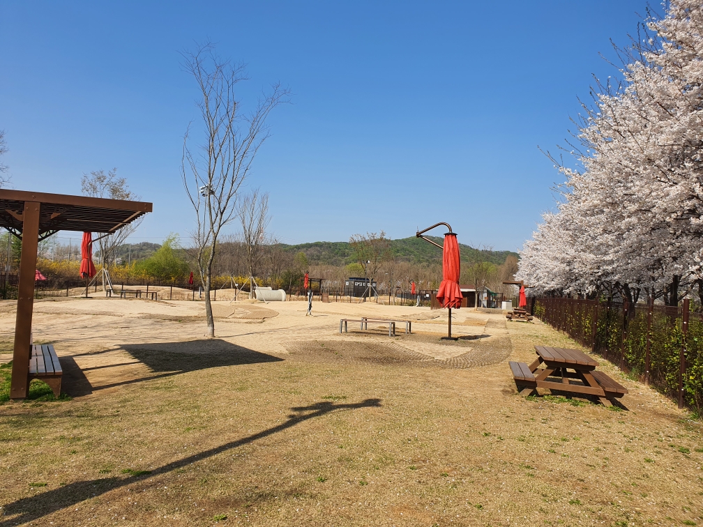인천대공원 반려견 놀이터