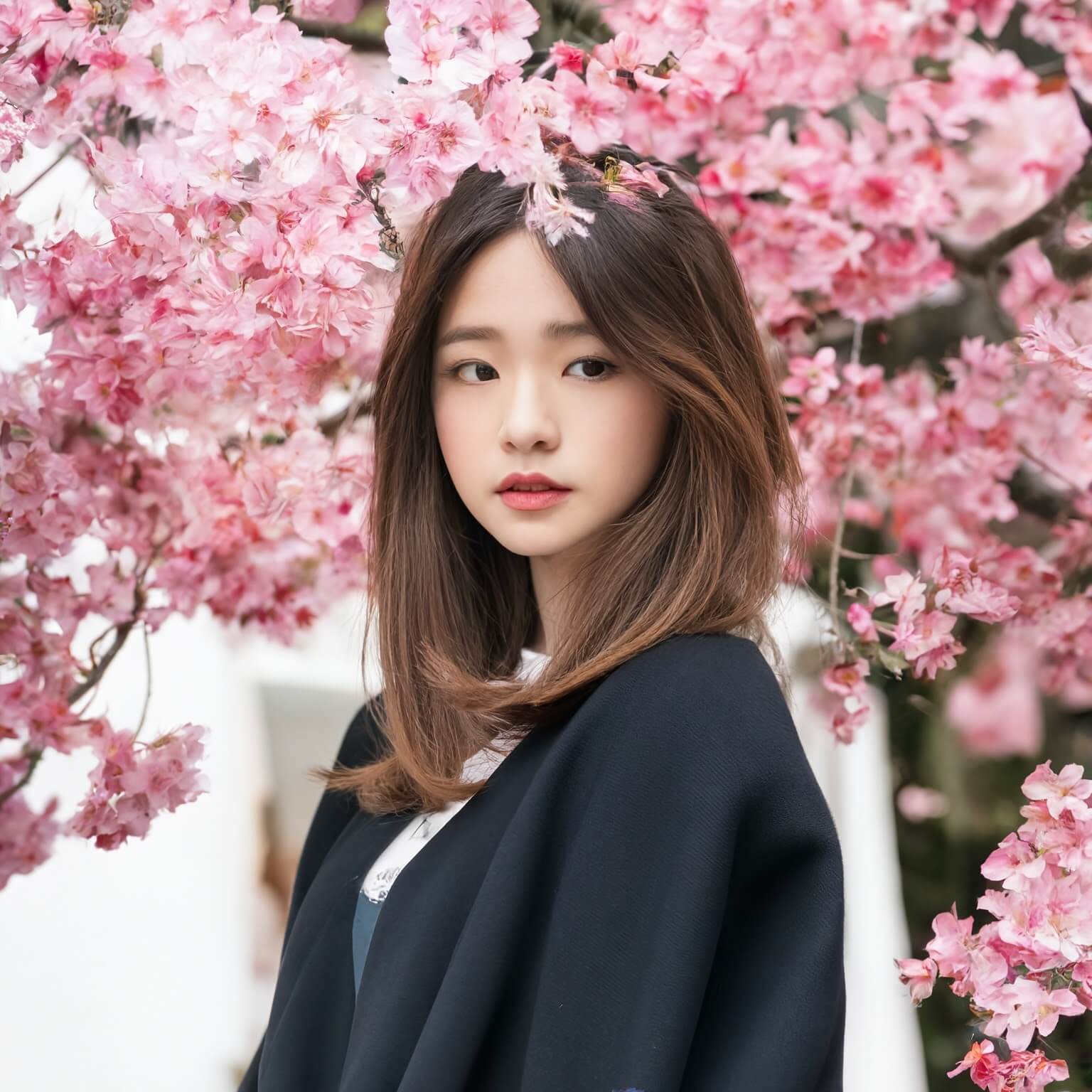 벚꽃 시즌 감성샷 촬영 팁