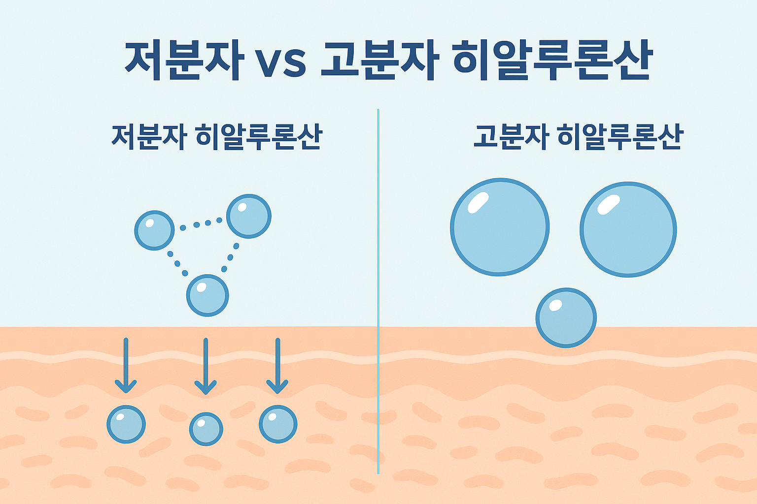 저분자와 고분자 히알루론산의 피부 침투 비교 일러스트