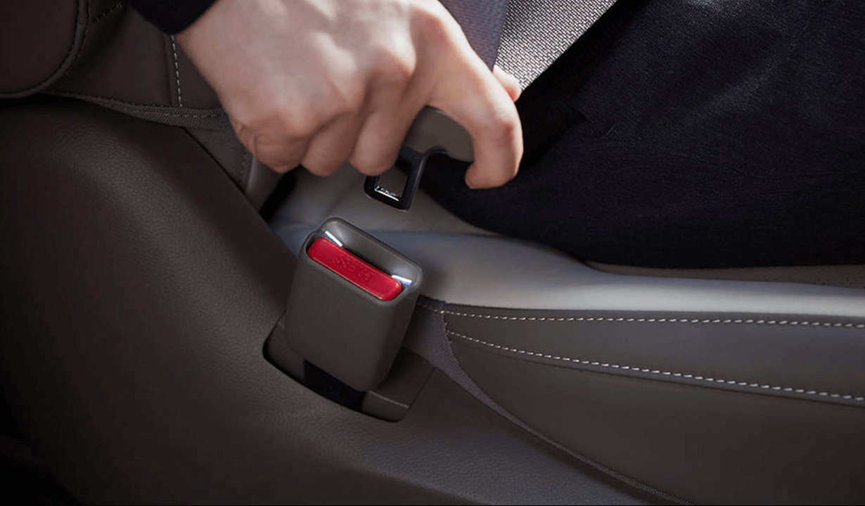 카니발 하이브리드