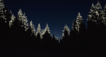 경기도 청년기본소득 2025년 신청부터 지급까지 19