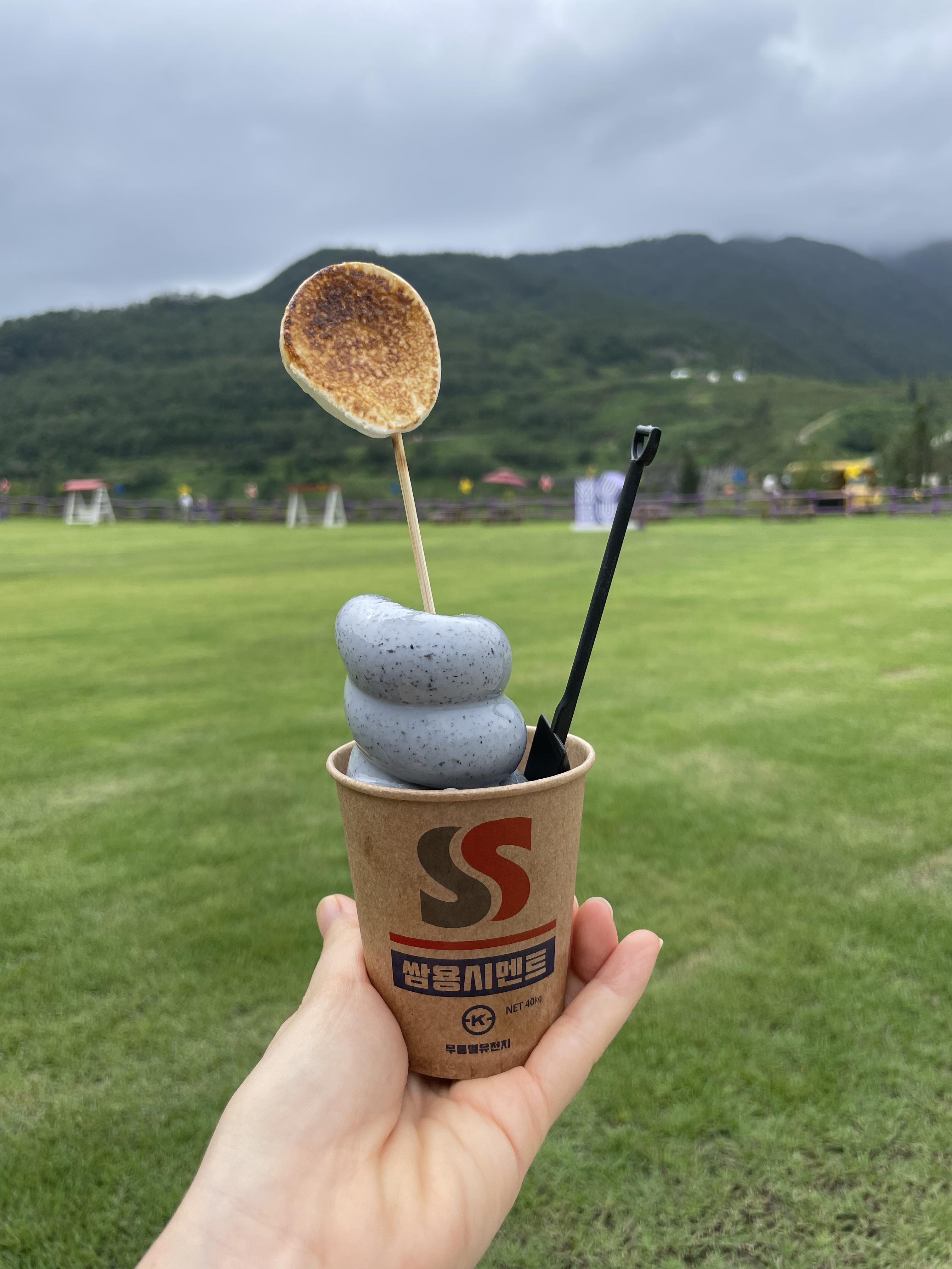 동해 무릉별유천지