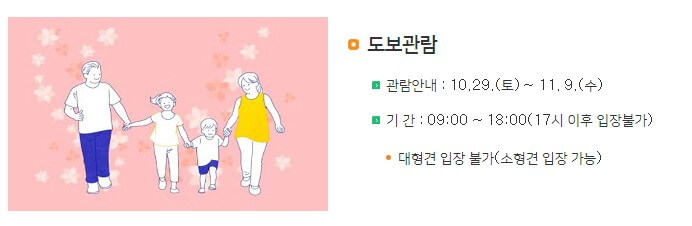 마산국화축제