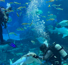 5월 가족 나들이 추천 명소 총정리ㅣ서울부터 제주까지, 주말 가볼만한 곳