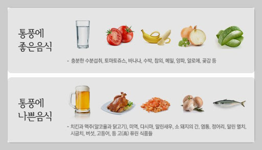 통풍식단