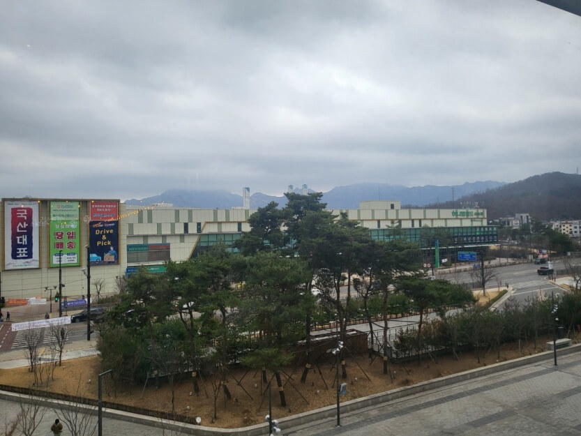 북한산-하나로마트-소나무-구름