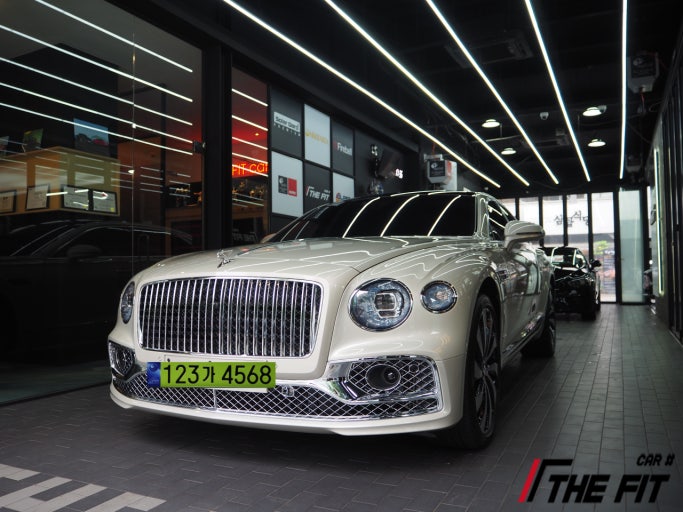 연두색 번호판 기준 &ndash; 법인 고가 차량 사적 사용 방지제도 총정리 관련 사진