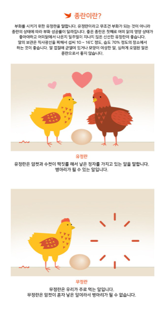 알콤 병아리 부화기 사용 후기 &amp;#124; PRO 20 DO 자동부화기 솔직 리뷰