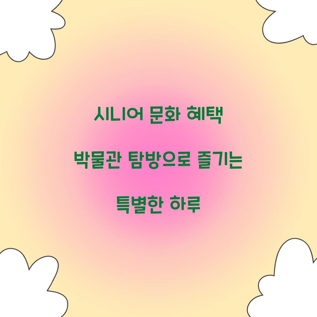 시니어 문화 혜택 박물관