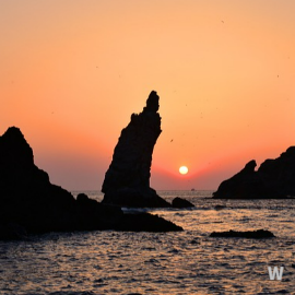 울릉도 사진3