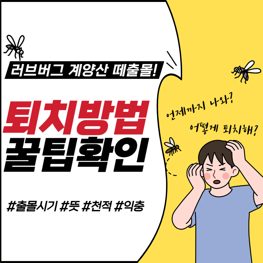 러브버그 계양산 떼출몰 퇴치방법 꿀팁, 출몰시기 뜻 천적 익충 정보 썸네일