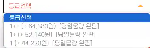 등급선택