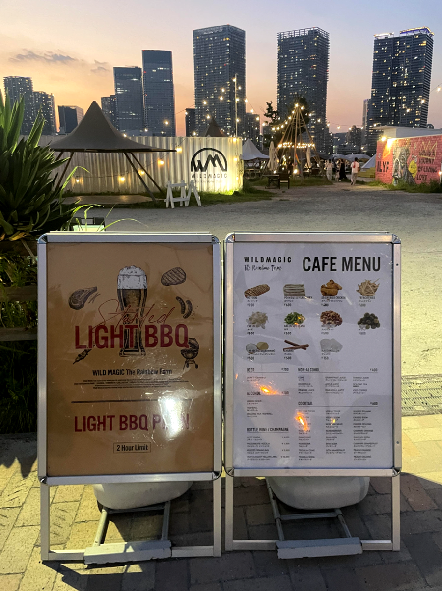 일본 도쿄로 다시 가고 싶은 3박 4일 여행기 - 와일드 매직