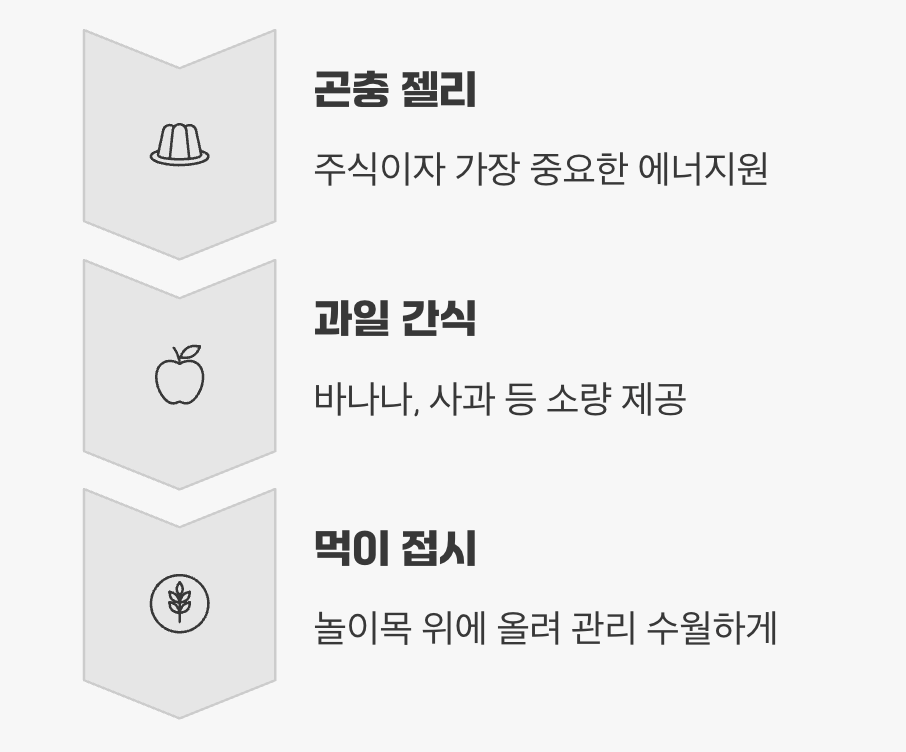 장군님을 위한 특식, '먹이'는 어떻게 줄까?