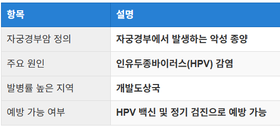 자궁경부암의 정의