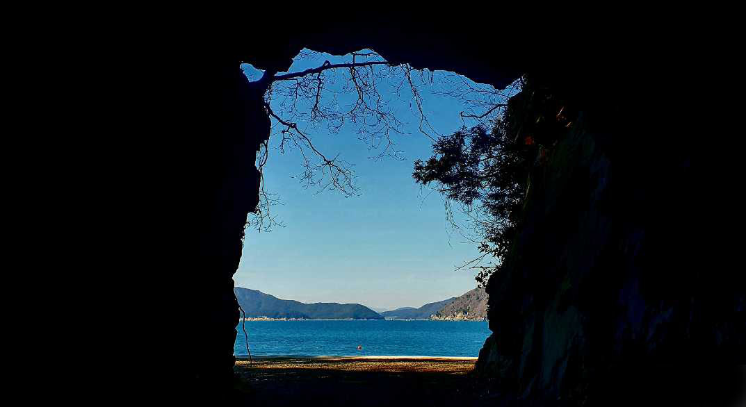 남부면 수국축제