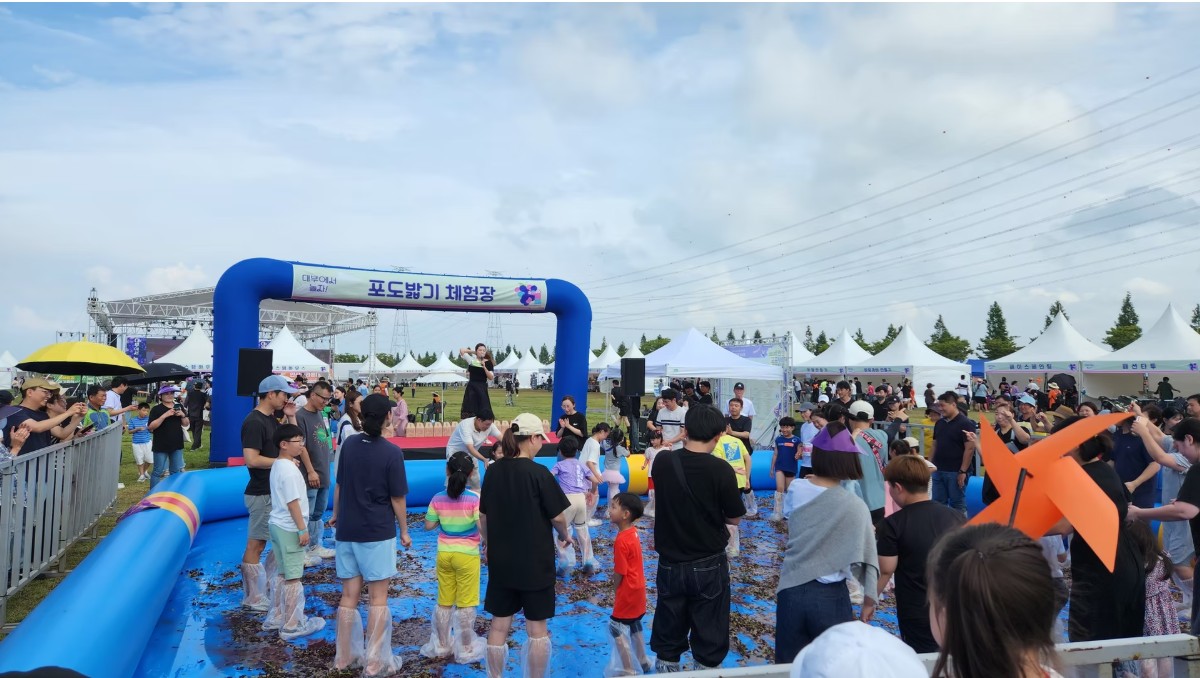 안산 대부포도축제