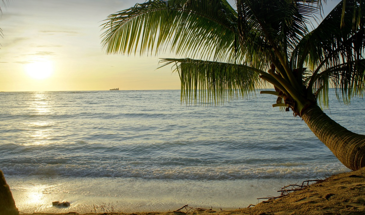 사이판 골프여행 관련 사진