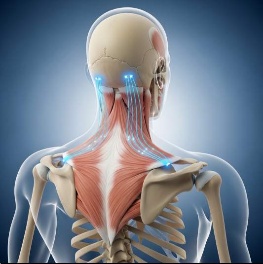 EMS 마사지기는 훌륭한 보조 도구지만, 근본적인 원인 해결을 위해서는 생활 습관 교정도 해야 합니다.