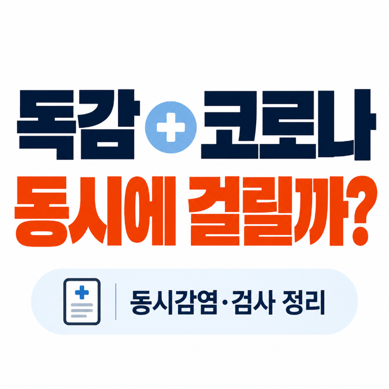 독감 코로나 동시감염 가능 여부와 검사 방법 대표 이미지