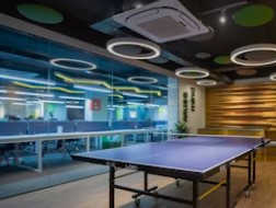 pingpong