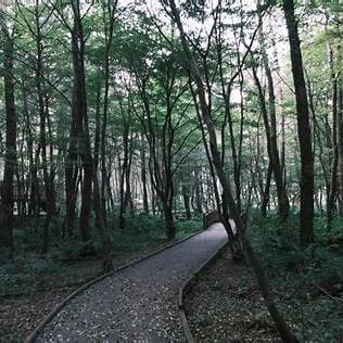 붉은오름자연휴양림 전경