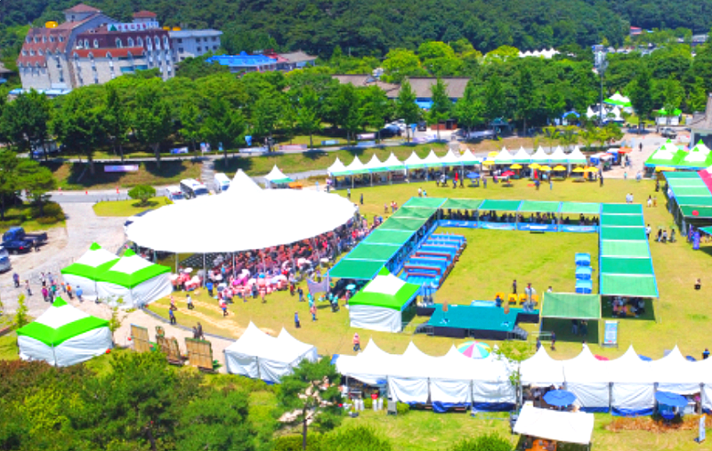 고창 복분자 수박축제