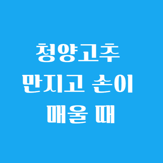 청양고추 만지고 손이 매울 때