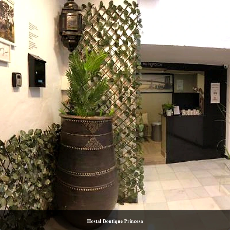 Hostal Boutique Princesa_1