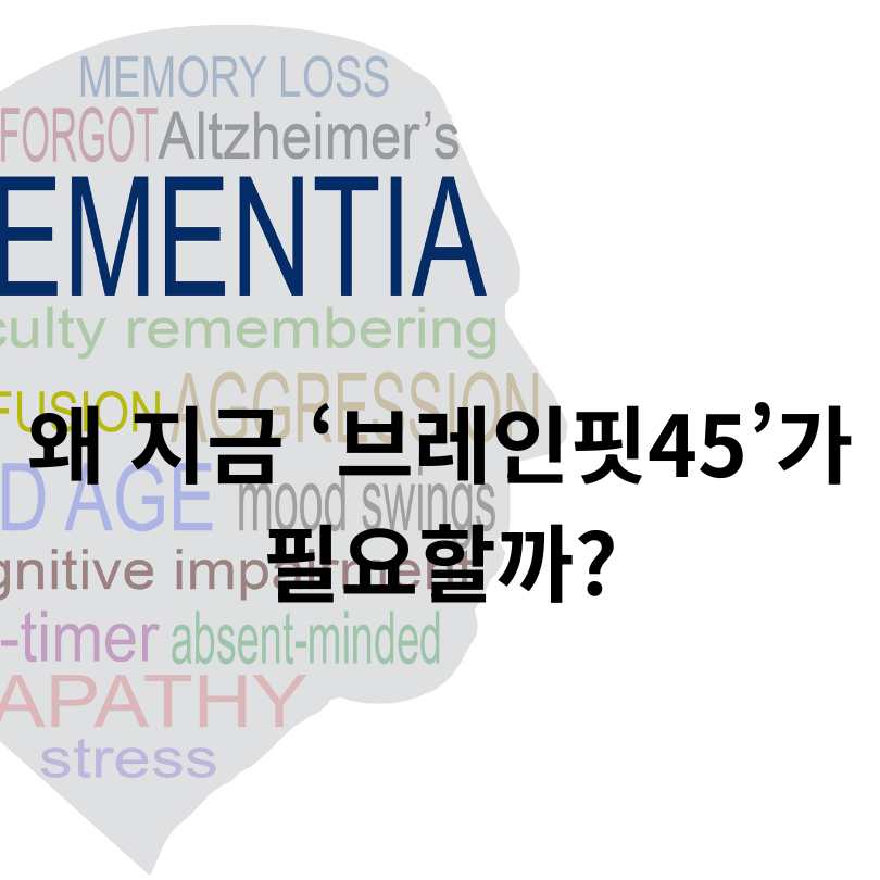 치매 예방 공공앱 ‘브레인핏45