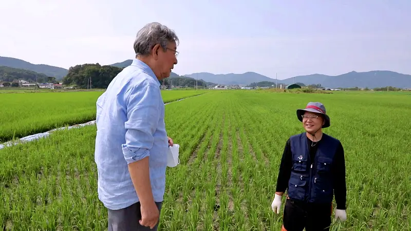 강화도 맛집 초록통쌀 삼계녹두죽, 초록눈 소고기야채죽, 강화속노랑고구마죽 섬밀죽 15종 파는 죽집 전국 택배 온라인 전화 주문